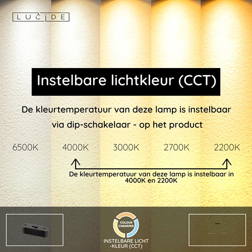 Lucide LANGHOLT - Hanglamp - LED Dimb. - CCT - 1x28W 2200K/4000K - Licht hout | Vibes - USP